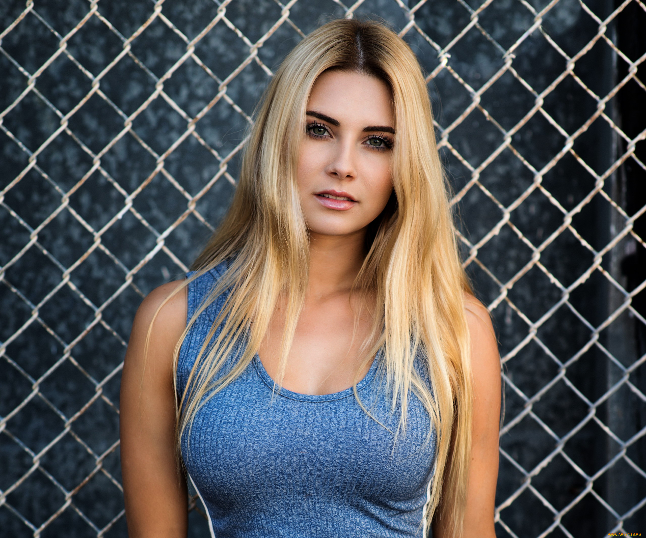 , - ,  , , 